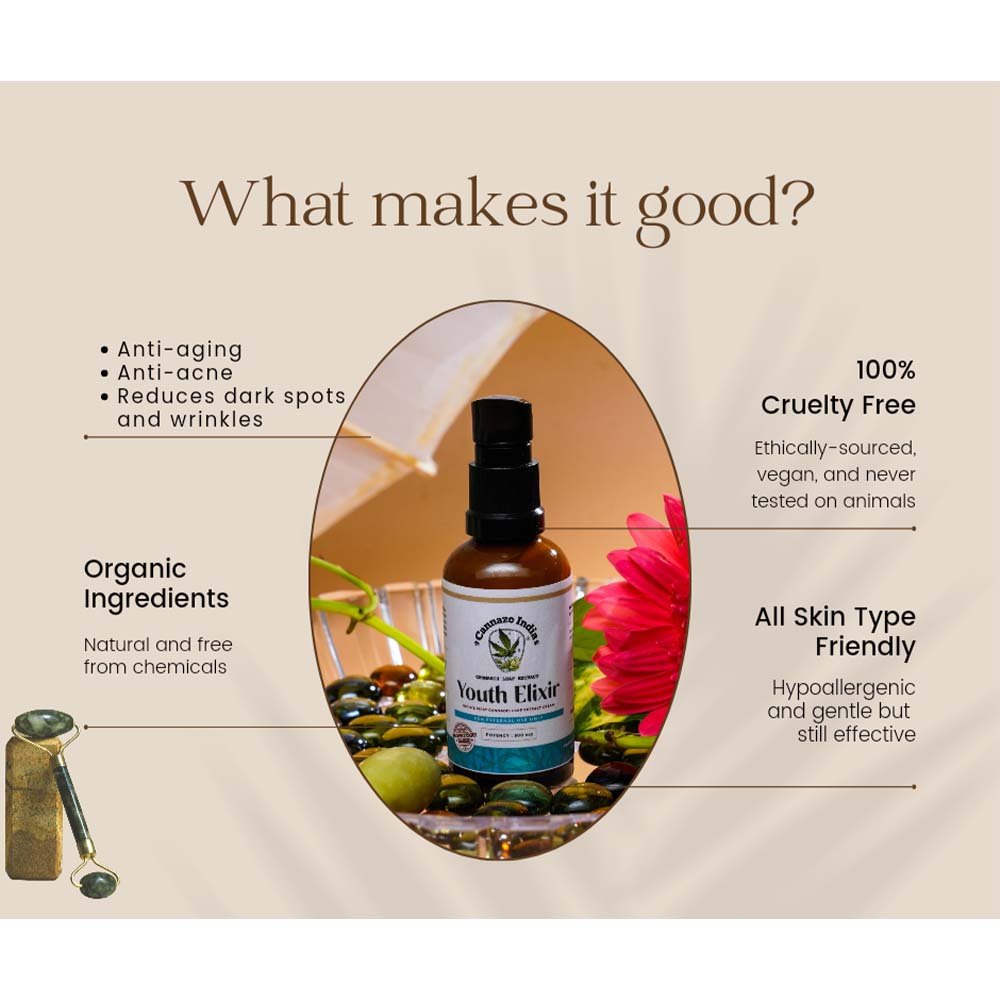 CZ115017_6 CZ115017 6