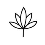 ShantiOrganics Logo ItsHemp